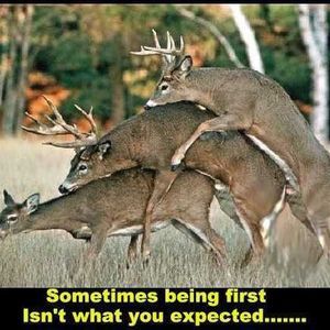 Meet your Posher, Tom